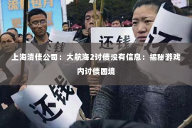 上海清债公司：大航海2讨债没有信息：揭秘游戏内讨债困境