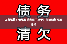 上海收债：催收和销售哪个好干？揭秘职场两难选择