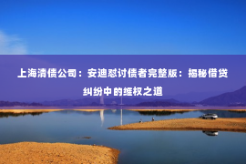 上海清债公司：安迪怼讨债者完整版：揭秘借贷纠纷中的维权之道