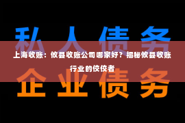 上海收账：攸县收账公司哪家好？揭秘攸县收账行业的佼佼者