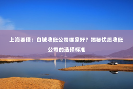 上海要债：白城收账公司哪家好？揭秘优质收账公司的选择标准