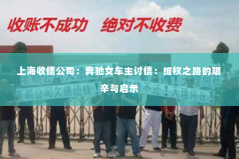 上海收债公司：奔驰女车主讨债：维权之路的艰辛与启示