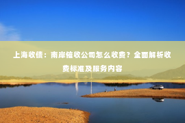 上海收债：南岸催收公司怎么收费？全面解析收费标准及服务内容