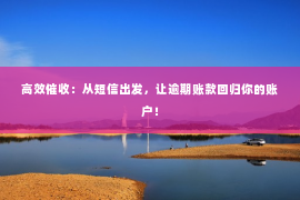 高效催收：从短信出发，让逾期账款回归你的账户！