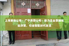 上海要账公司：广宁清数公司：助力企业数据驱动决策，引领智能时代潮流