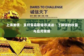 上海要债：支付宝逾期催收通话：了解你的权益与应对策略