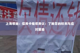 上海收账：信用卡催收异议：了解您的权利与应对策略