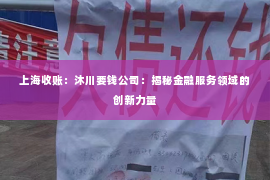 上海收账：沐川要钱公司：揭秘金融服务领域的创新力量