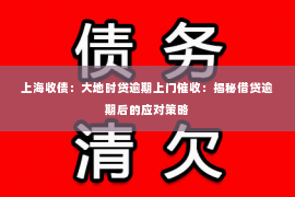 上海收债：大地时贷逾期上门催收：揭秘借贷逾期后的应对策略