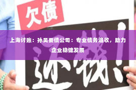 上海讨账：孙吴要债公司：专业债务追收，助力企业稳健发展