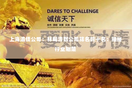 上海追债公司：林甸清数公司排名前十名：揭秘行业翘楚