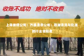 上海要债公司：万盛清数公司：数据清洗与处理的行业领航者