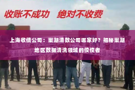 上海收债公司：巢湖清数公司哪家好？揭秘巢湖地区数据清洗领域的佼佼者