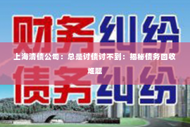 上海清债公司：总是讨债讨不到：揭秘债务回收难题