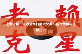 上海讨债：催收公司打来说欠款：应对策略与法律知识