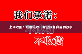 上海收账：成都催收：专业服务背后的故事