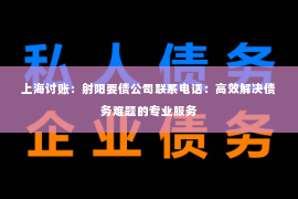 上海讨账：射阳要债公司联系电话：高效解决债务难题的专业服务