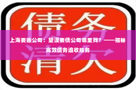 上海要账公司：望谟要债公司哪里找？——揭秘高效债务追收服务