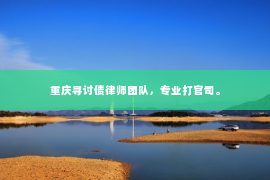 重庆寻讨债律师团队，专业打官司。