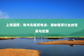 上海追债：啄木鸟催收电话：揭秘催收行业的变革与创新