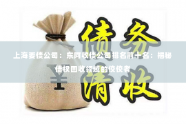 上海要债公司：东阿收债公司排名前十名：揭秘债权回收领域的佼佼者