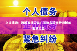 上海收账：潍城要钱公司：揭秘金融服务领域的创新力量