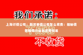 上海讨债公司：新河要债公司怎么收费：揭秘债务催收行业的收费标准