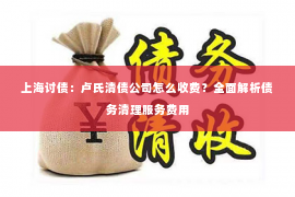 上海讨债：卢氏清债公司怎么收费？全面解析债务清理服务费用