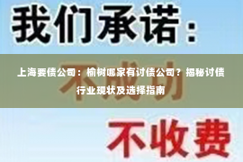 上海要债公司：榆树哪家有讨债公司？揭秘讨债行业现状及选择指南