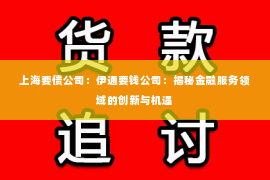 上海要债公司：伊通要钱公司：揭秘金融服务领域的创新与机遇