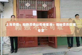 上海收债：和静清债公司哪里找：揭秘债务处理专家