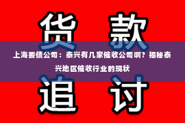 上海要债公司：泰兴有几家催收公司啊？揭秘泰兴地区催收行业的现状