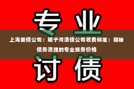 上海要债公司：城子河清债公司收费标准：揭秘债务清理的专业服务价格