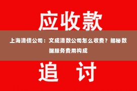 上海清债公司：文成清数公司怎么收费？揭秘数据服务费用构成