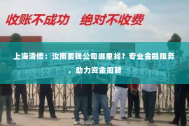 上海清债：汝南要钱公司哪里找？专业金融服务，助力资金周转