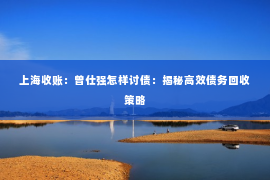 上海收账：曾仕强怎样讨债：揭秘高效债务回收策略