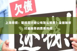 上海收债：攀枝花讨账公司怎么收费？全面解析讨账服务的费用构成