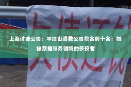 上海讨账公司：平顶山清数公司排名前十名：揭秘数据服务领域的佼佼者