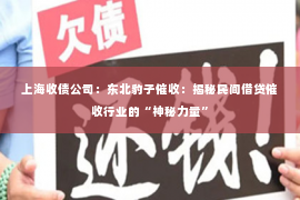 上海收债公司：东北豹子催收：揭秘民间借贷催收行业的“神秘力量”