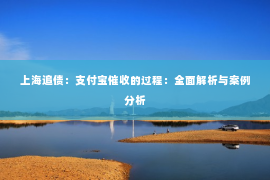 上海追债：支付宝催收的过程：全面解析与案例分析