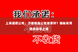 上海追债公司：沙雅催账公司哪家好？揭秘高效债务回收之道