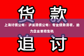 上海讨债公司：泸溪清债公司：专业债务清收，助力企业重拾生机