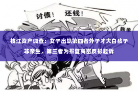 枝江资产调查：女子出轨第四者外子才大白孩子非亲生，第三者为报复高密反被起诉