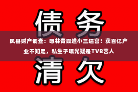 凤县财产调查：曝林青霞遭小三逼宫！获百亿产业不知足，私生子曝光疑是TVB艺人