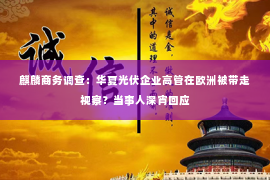 麒麟商务调查：华夏光伏企业高管在欧洲被带走视察？当事人深宵回应